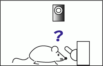 マウス実験１