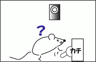 マウス実験２